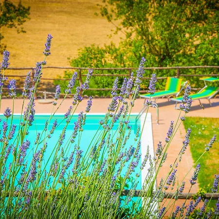 Tra Cielo E Terra By Interhome Casa vacanze Frontignano