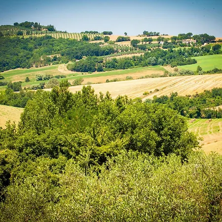Tra Cielo E Terra By Interhome Feriehus Frontignano